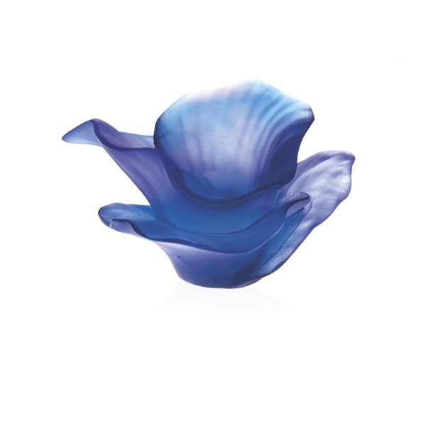 Dekorative Blume, "Arum Bleu Nuit", Blau