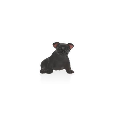 Mini-Hundewelpe, Schwarz