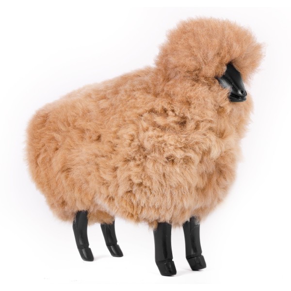 Tito Small Sheep