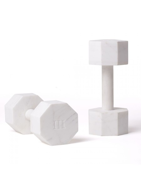 Set of 2 Dumbell 3 kg